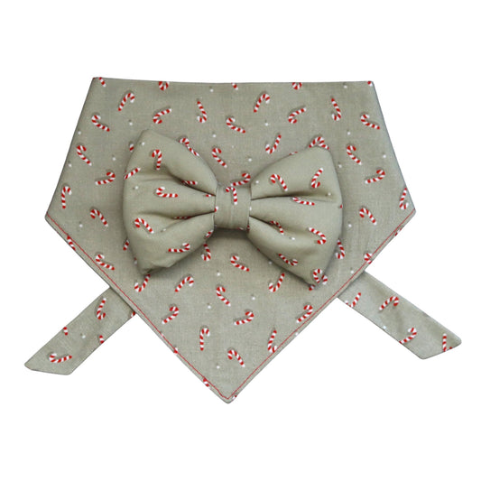 Green Sage and Candy Cane Holiday Combo - Bow Tie & Bandana